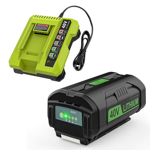 AYTXTG 40 Volt 6500mAh Replacement for Ryobi 40V Battery OP4040 OP4026 OP4030 OP4050 OP4060A with Ryobi 40V Charger OP401