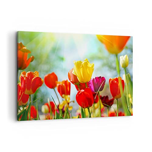 Tableau decoration murale tulipe AA120x80-2566 impression sur toile