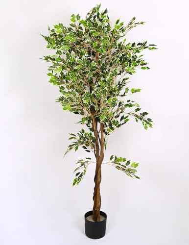 Image of ARICK DECOR 5Ft Artificial Bird of Paradise Plant in Pot, 5ft Realistic Faux Banana Leaf Tree for Home Decor, Office, Living Room (5.5FT-FICUS)