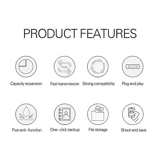 Wansenda TC100 tipo C USB Flash Drive 16 GB 32 GB