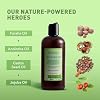 Just Nutritive Acne Clear Face and Body Wash | Adult Acne Treatment | Acne Face Wash | Face Skin Care | Back Acne Treatment | Acne Cleansers 16 Oz