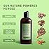 Just Nutritive Acne Clear Face and Body Wash | Adult Acne Treatment | Acne Face Wash | Face Skin Care | Back Acne Treatment | Acne Cleansers 16 Oz