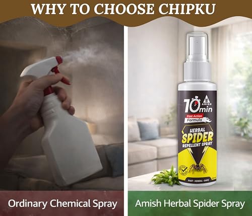 Image of Amish Herbal Spider Spray 100 ml|10 Minutes Formula |Removes Entire Spider Colony|Powerful 100% Organic No Chemical Spider Repellent Spray for Home Office & Garden Long Lasting Protection