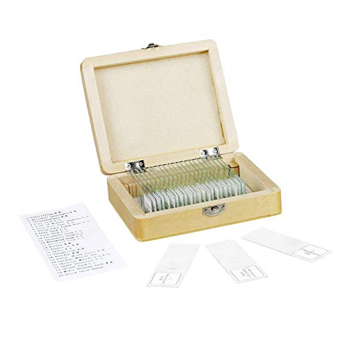 Vision Scientific Vs25 Piece Slide Set, 25 Prepared Glass Microscope Slides, General Biological/Scientific Application, Shatterproof Box With Interior Padding - Free Shipping #TOP15