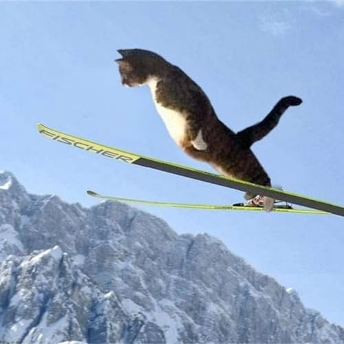 At Home Olympic Training Fail