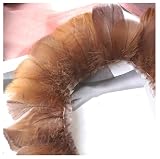 2 Meter Truthahnfeder Band Federband 10-83cm länge Federn Fringe Federborte...