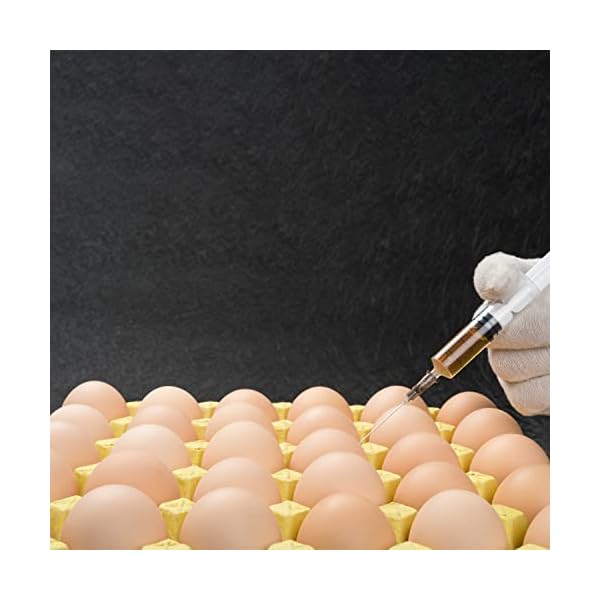 12-Pack-20ml-Plastic-Syringe-Luer-Lock-with-18Ga-Measuring-Syringe-Tool-for-Scientific-Labs-Epoxy-Resin-Craft-Machine-Oil-Ink-or-Glue-Applicator-Individual-Package 12-Pack-20ml-Plastic-Syringe-Luer-Lock-with-18Ga-Measuring-Syringe-Tool-for-Scientific-Labs-Epoxy-Resin-Craft-Machine-Oil-Ink-or-Glue-Applicator-Individual-Package