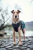 HUNTER Hundemantel UPPSALA ALLROUNDER, Farbe: anthrazit/petrol, wasser- und windabweisend, herausknöpfbares Innenfutter, reflektierende Paspeln, elastische Fixiergummis, optimaler Sitz, Größe: 50