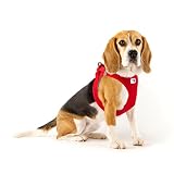 Vest Harness curli Clasp Softshell Red S