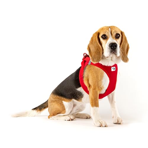 Vest Harness curli Clasp Softshell Red XL
