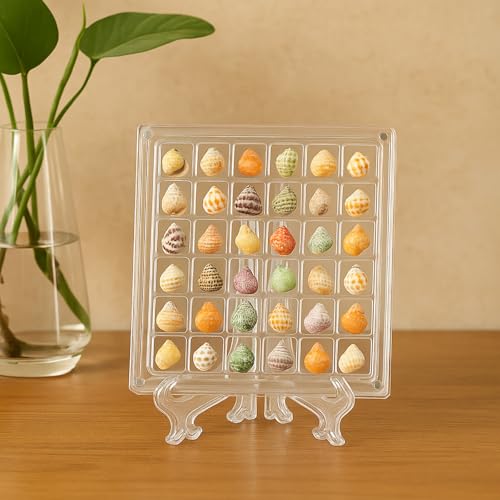 Miniatura 6 de 2 Cajas De Exhibición Magnéticas De Acrílico Con Conchas Marinas, Caja De Almacenamiento Transparente De Conchas, Contenedor Transparente Multifuncional Para Conchas, Cuentas, Estrellas De Mar, Joyas