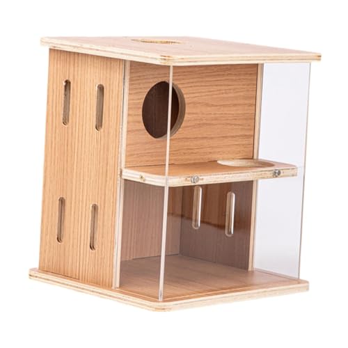 f ؐnX^[nEX B 2w W[r nX^[ ``p ^p