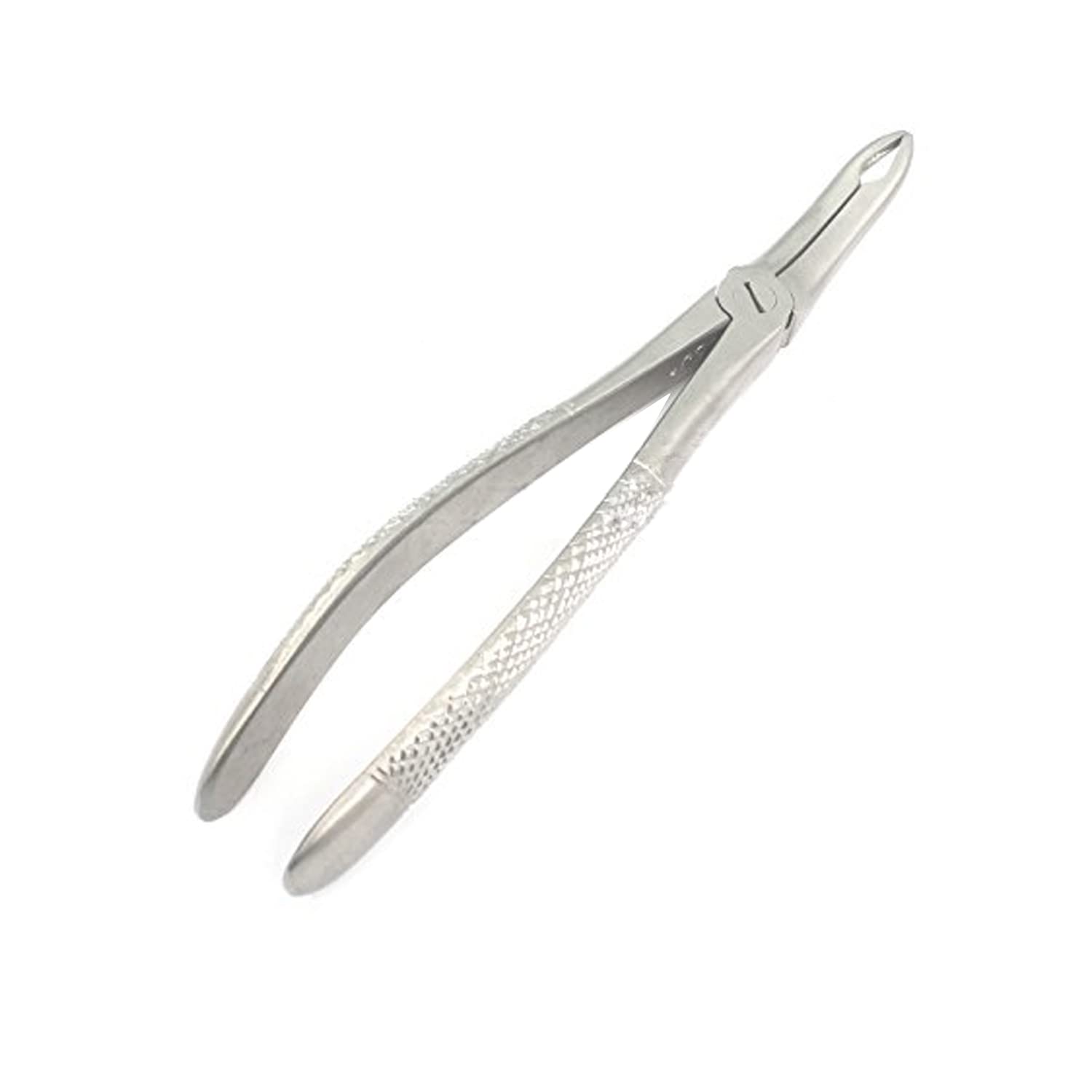 LAJA IMPORTS 1PC Dental Instrument 44# EXTRACTING Forceps Stainless Steel : Health & Household
