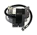 The ROP Shop Pack of 2 Ignition Module Coils for 799651, 691060 Intek V-Twin Engines