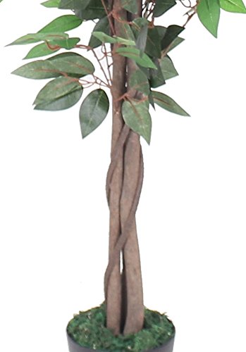 AMERIQUE AMT0912 Silk Plant, 5.3'/63", Green