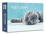 L'agenda-calendrier Chats et Chatons 2020