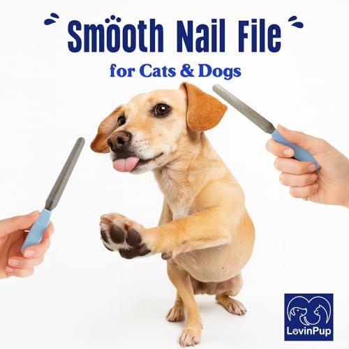 LOVINPUP 6-Inch Stainless Steel Pet Nail File – Professional Cat & Dog Nail File for Quiet, Gentle, & Precise Claw Smoothing – Gentle, Durable Cat & Dog Grooming Supplies for Home Use