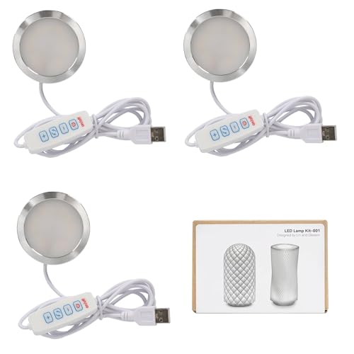 BambooSegD 3 Piezas Kit de lámparas LED 001, 3 colores para Bambu Lab P2S X1 P1P A1 H2C LED Lamp Kit MH001, compatible con impresoras para Anycubic, repuestos DIY, 5V USB, luz cálida 3000K