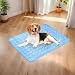Générique Kühlmatte für Hunde, Matte aus Eisstoff, für den Innenbereich – atmungsaktive Sommerdecke für Tiere, Boden, Autositz, Sofa, Hundehütte, Garten, Balkon