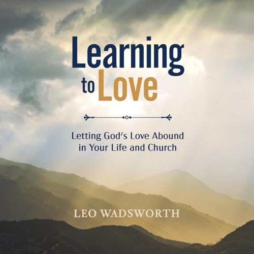 Learning to Love cover art