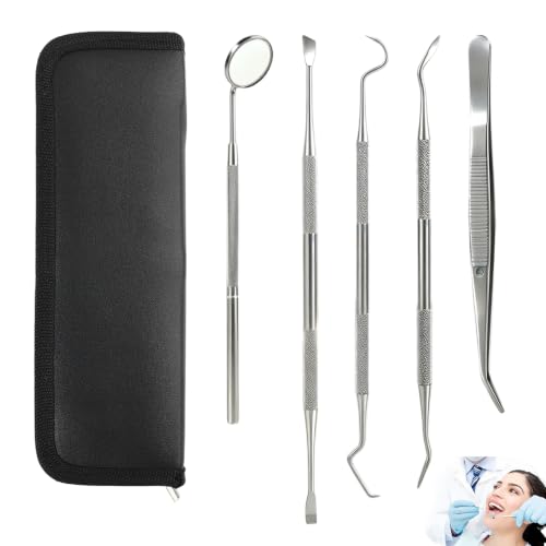 Kit de Nettoyage Dentaire en Acier Inoxydable, 5 Outils, avec Étui de Rangement, Usage Personnel et Animaux