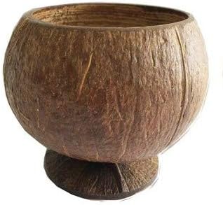 PARTYMASTER Natural Coconut Shell Cup，Hawaiian Summer Luau Party Cup