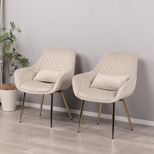 Mirai-Show _CjO`FA 2rZbg It  k ψ֎q rO`FA[ JtF`FA ItBX`FA Ȃ H֎q 킢 (AC{[ / 2rZbg xAj)