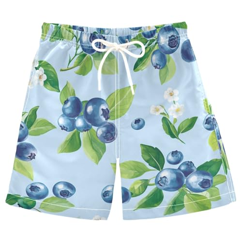 Jucciaco Boys Beach Board Shorts Blueberry Fruit Blue Swim Trunk Teen Swimwear