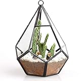 ✅ Vielseitigkeit – Dieses kleine Terrarium ist eine perfekte moderne industrielle Heimdekoration für Wohnzimmer, Schlafzimmer oder Hochzeitsblumenarrangements. DIY-Ideen schaffen einzigartige Wandkunst mit unseren geometrischen Glas-Terrarien, indem sie mit Klammern an der Wand befestigt werden, als Tischdekoration oder zum Aufhängen an der Decke verwendet werden. DIY einzigartige Blumenarrangements oder Luftpflanzen-Designs in diesen geometrischen sechseckigen Kugelformen.