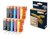 QUALITONER - 10 Cartouche Compatible pour Canon 525 XL - 526 XL 525XL - 526XL Noir (x2) + Cyan (x2) + Magenta (x2) + Jaune (x2) + Photo Noir (x2) po