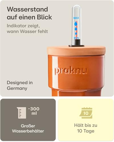Praknu 3 x Tonkegel Bewässerung mit Deckel & Wasseranzeige – Bis zu 10 Tage – Einfache Reinigung – Bewässerungskugeln Ton – Automatische Bewässerung Zimmerpflanzen Urlaub – Pflanzenbewässerung Indoor