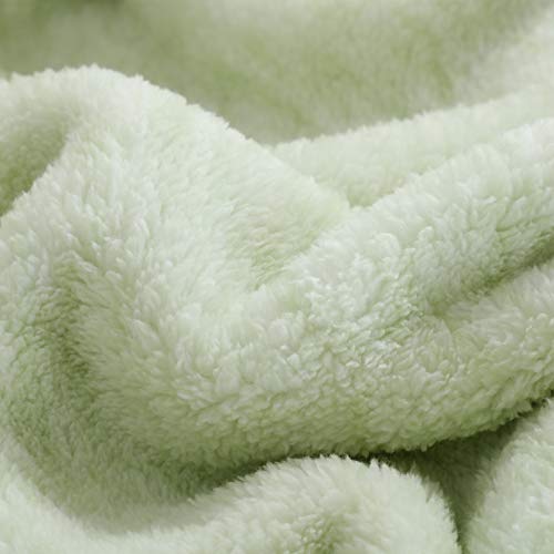 Sochow Sherpa Fleece Throw Blanket, All Seasons Lightweight Fuzzy Warm Super Soft Plush Blanket For Bed, Sofa And Couch, 50 X 60 Inches, Light Green #TOP2