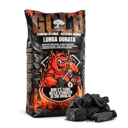 Virsus Carbone di Legna 1 Sacco da 9 kg Netti di Puro Carbone Vegetale per Barbecue, 100%, Combustibile Ecologico, Naturale, Grill, Grigliata o Barbecue da Tavolo (9Kg)