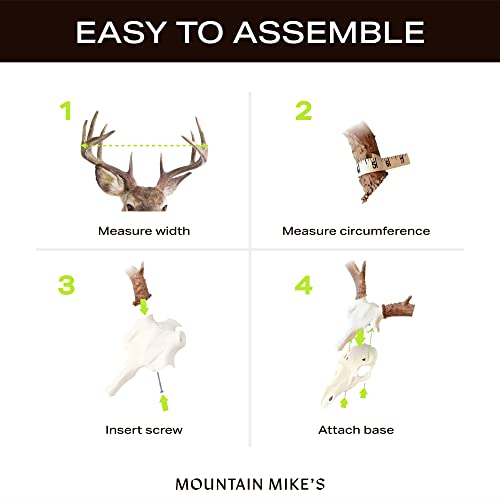 Mountain Mike’s Skull Master - European-Style Mount Kit for Antlers - for Antlers Smaller Than 4 ⅞” Diameter - Compatible with Harvested and Shed Antlers - White (Medium) - Thumbnail 6