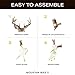 Mountain Mike's Reproductions Skull Master Medium Antler Mounting Kit
