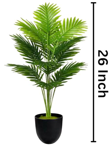 Image of Dekorly Plastic Artificial Palm Plants Leaves Faux Turtle Leaf Fake Monstera Tropical Large Palm Tree Leaves Outdoor Leaf Decorations | 26Inch Plants with Blackpot (Areca Plant)