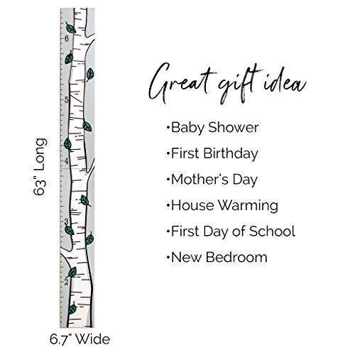 Headwaters Studio Wooden Ruler Growth Chart For Kids, Boys & Girls - Height Chart & Height Measurement For Wall - Kids Nursery Wall Decor & Room Hanging Wall Decor - Birch Tree With Green Leaves #TOP3