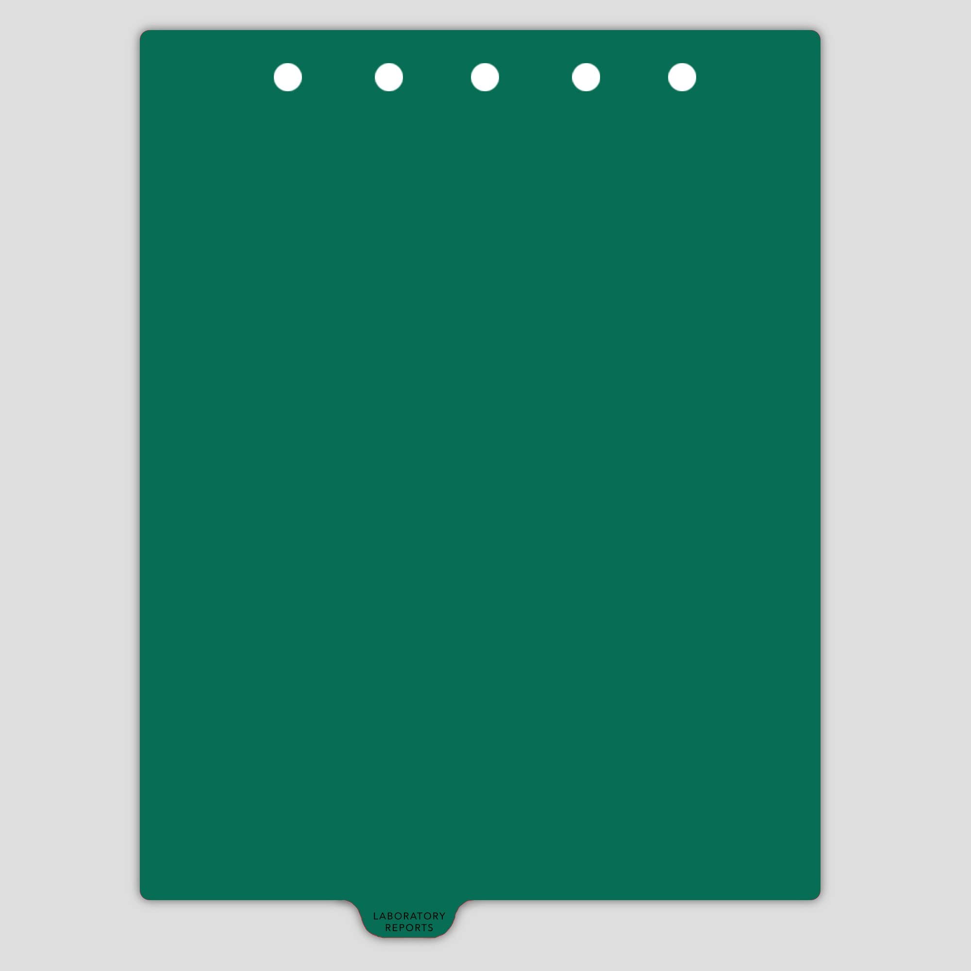 Carstens - Heavy Duty Laboratory Reports Plastic Ring Binder Dividers, Bottom Tab, 1/9 Cut, Tab 4 Position, US Letter, Pack of 10, (2623-04) - Ideal Medical Chart Dividers for 3 Ring Binders