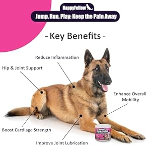 Hip and Joint Supplement for Dogs – Mobility Aids Glucosamine Chondroitin for Dogs Arthritis Pain Relief Anti Inflammatory, Small Large Breed Advanced Support, Pain Relief, 140 Soft Chews
