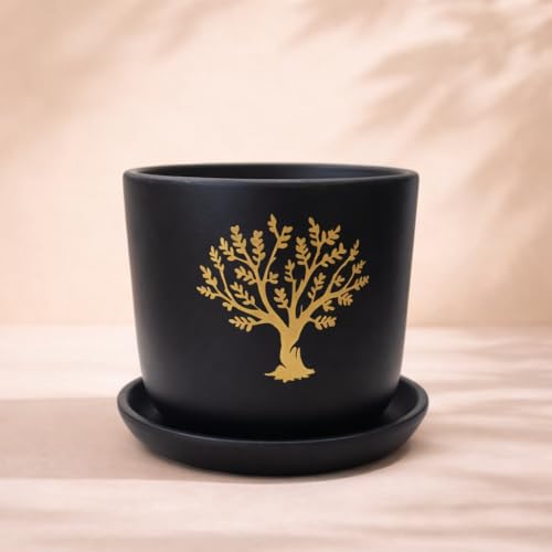 Urban Upvan Terracotta Flower Pots for Garden, Dining Table & Hom...