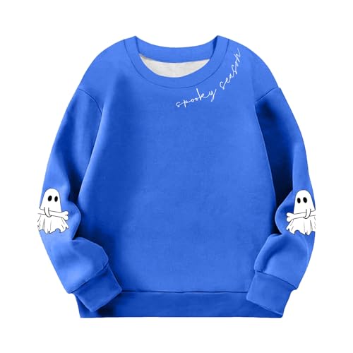 Girls Crewneck Sweatshirts Cute Graphic Print Casual Sweatshirt Long Sleeve Oversized Trendy Fleece Pullover Tops