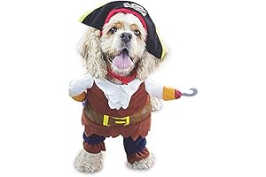 Pirate-Themed Dog Costume for Halloween and Fun