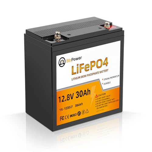 12V 30Ah LiFePO4 Battery 5000+ Deep Cycle Lithium Battery Low-Temperature Protection 30A BMS for Fish Finder Trolling Motor Kids Scooters Power Wheel Chair Boat RV etc