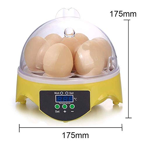 Jf-Xuan Eggs Incubator Egg Incubator, Mini 7 Eggs Digital Temperature Control Poultry Incubator For Chicken Goose Duck Birds Brooder Hatcher Machine #TOP1