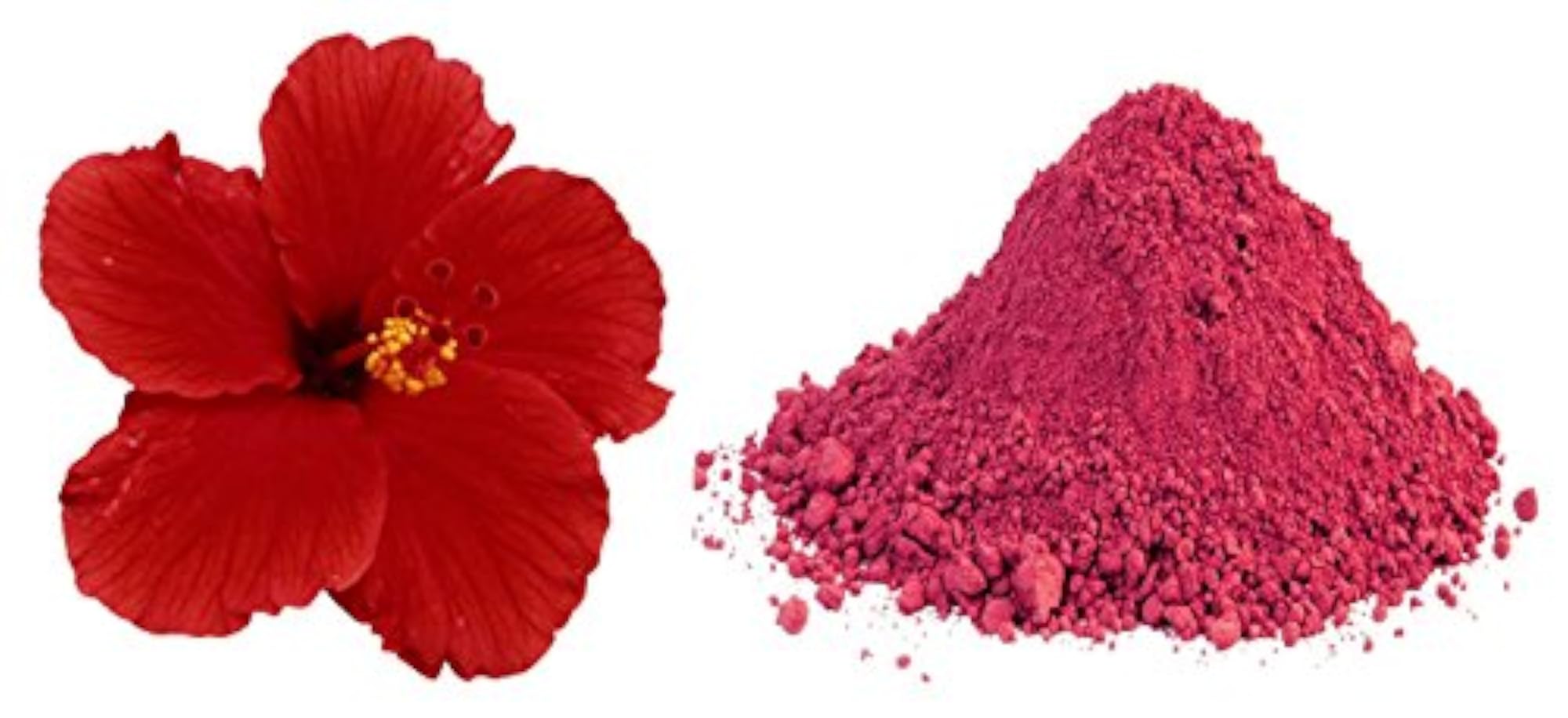 Hibiscus Powder for Hair Improvement, 100 gm