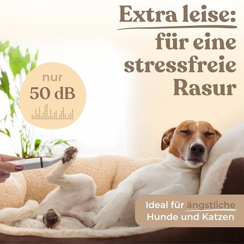 Alpenstern® Profi Pfotentrimmer für Hunde und Katzen - Hundepfoten Trimmer leise Schermaschine Hundeschermaschine Rasierer für Augen, Ohren, Fell - starker Motor und Akku - mit USB-C