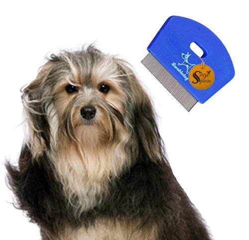 Sage Square 2 in 1 Adjustable Dog Brush/Pet Comb for Grooming cum Massager & safety for Pets from Mites/Lice/Ticks for Dog/Puppy/Kitten/Cat (Blue)-image-47