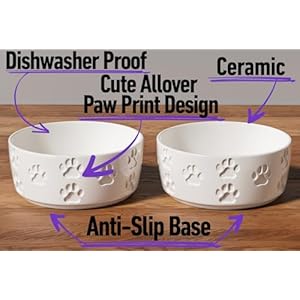 Ceramic-Dog-Bowl-Set-with-Anti-Slip-Rings-5-Round-x-2-Tall-Set-of-2-Ceramic-Dog-Bowls-for-Small-Dogs-Small-Dog-Bowls-Dog-Food-and-Water-Bowl-White-Dog-Food-Bowls-Dog-Bowls-Small-Size-Dog - Cucciolini Doodles   Ceramic-Dog-Bowl-Set-with-Anti-Slip-Rings-5-Round-x-2-Tall-Set-of-2-Ceramic-Dog-Bowls-for-Small-Dogs-Small-Dog-Bowls-Dog-Food-and-Water-Bowl-White-Dog-Food-Bowls-Dog-Bowls-Small-Size-Dog