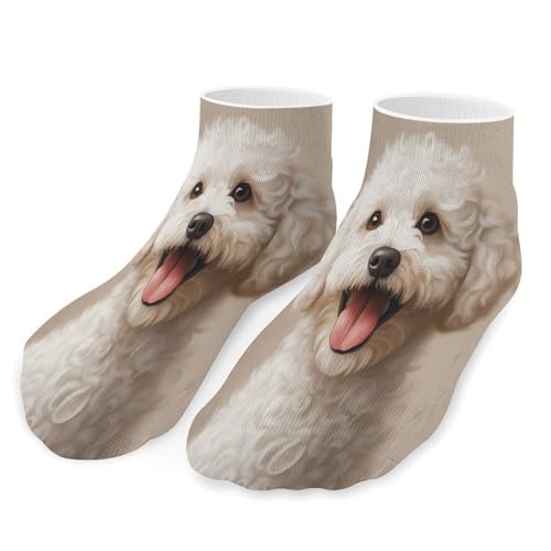 Cute Shih Tzu Ankle Socks Summer Casual Length Anti-slip Sock for Mens Womens Sports Hiking4