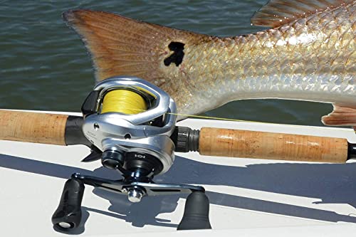 Multirolle Linkshand Shimano Tranx A 401 Baitcast Rolle